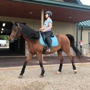 Smartpak Dressage Saddlepad